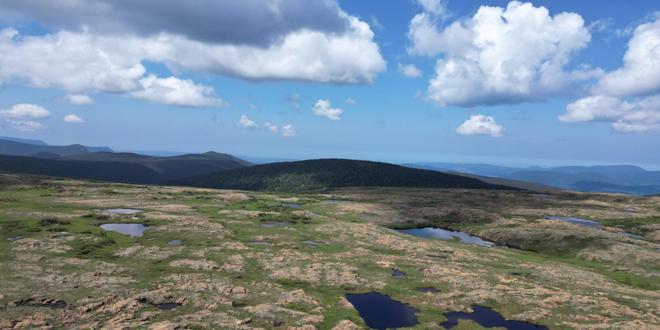 Plateau du Mont Albert