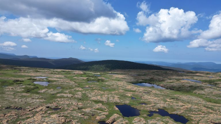 Plateau du Mont Albert