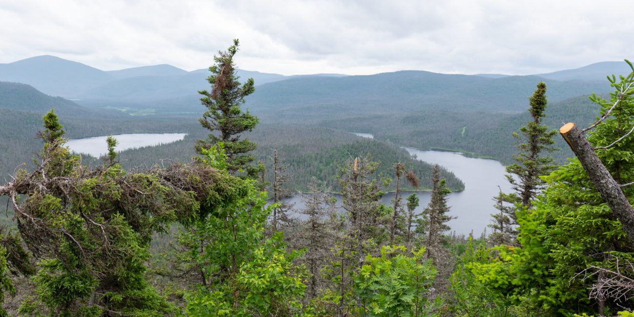 Vue du Parc national de la Gaspésie