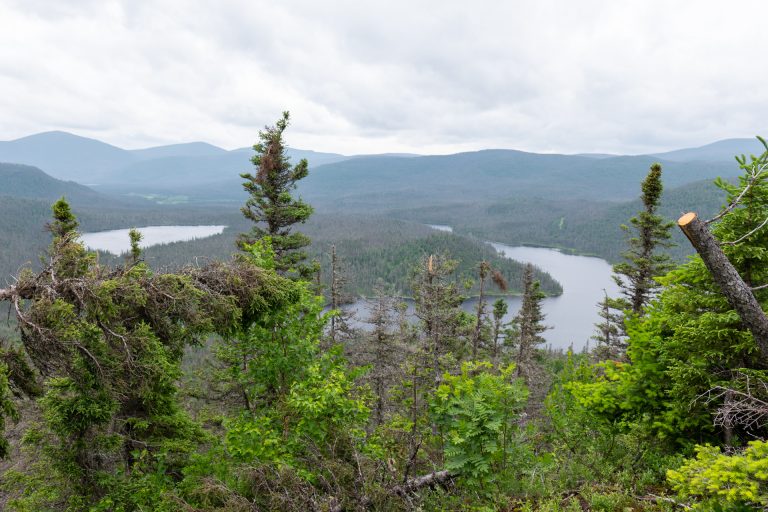Vue du Parc national de la Gaspésie