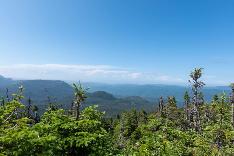 Sommet du Mont du Milieu