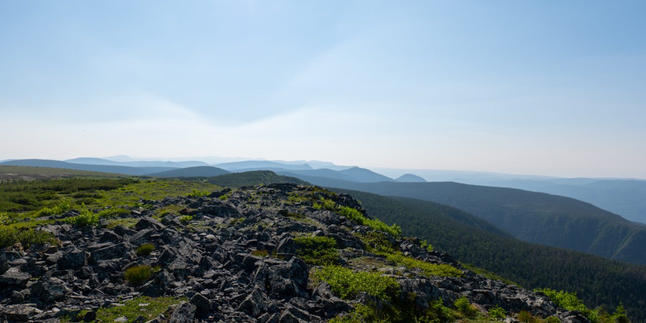 Sommet du Mont Albert