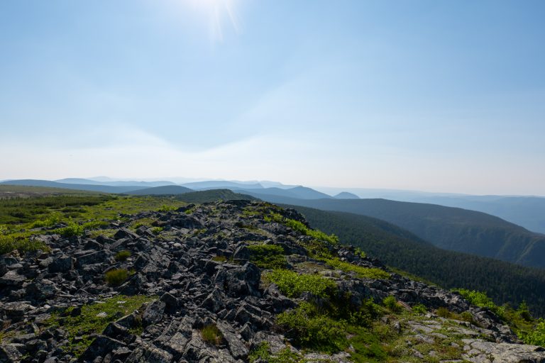Sommet du Mont Albert