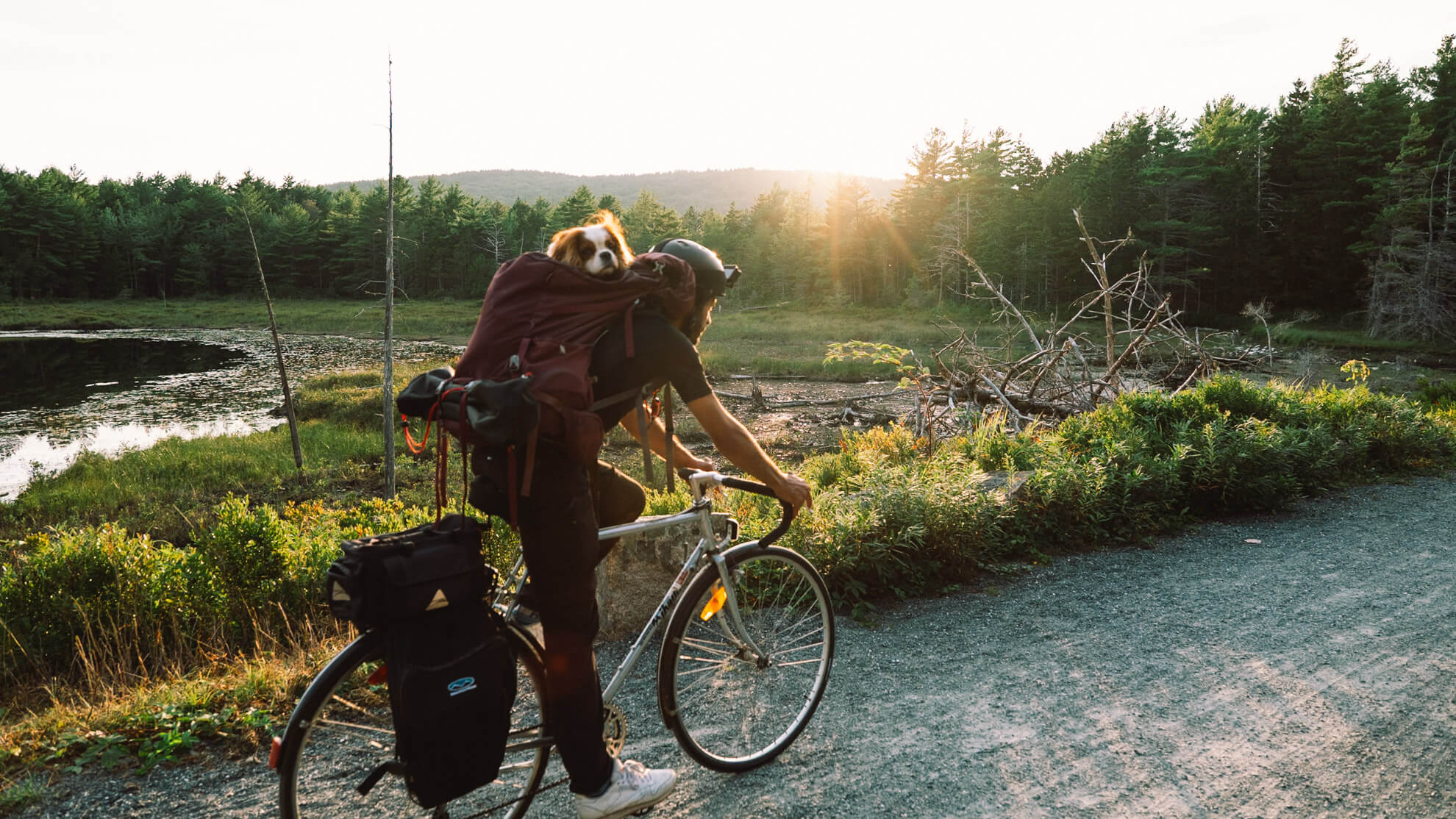 Velo soleil couchant parc national d'Acadia