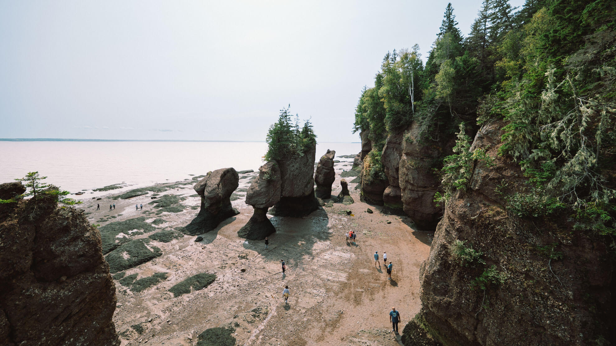 Les rochers Hopewell