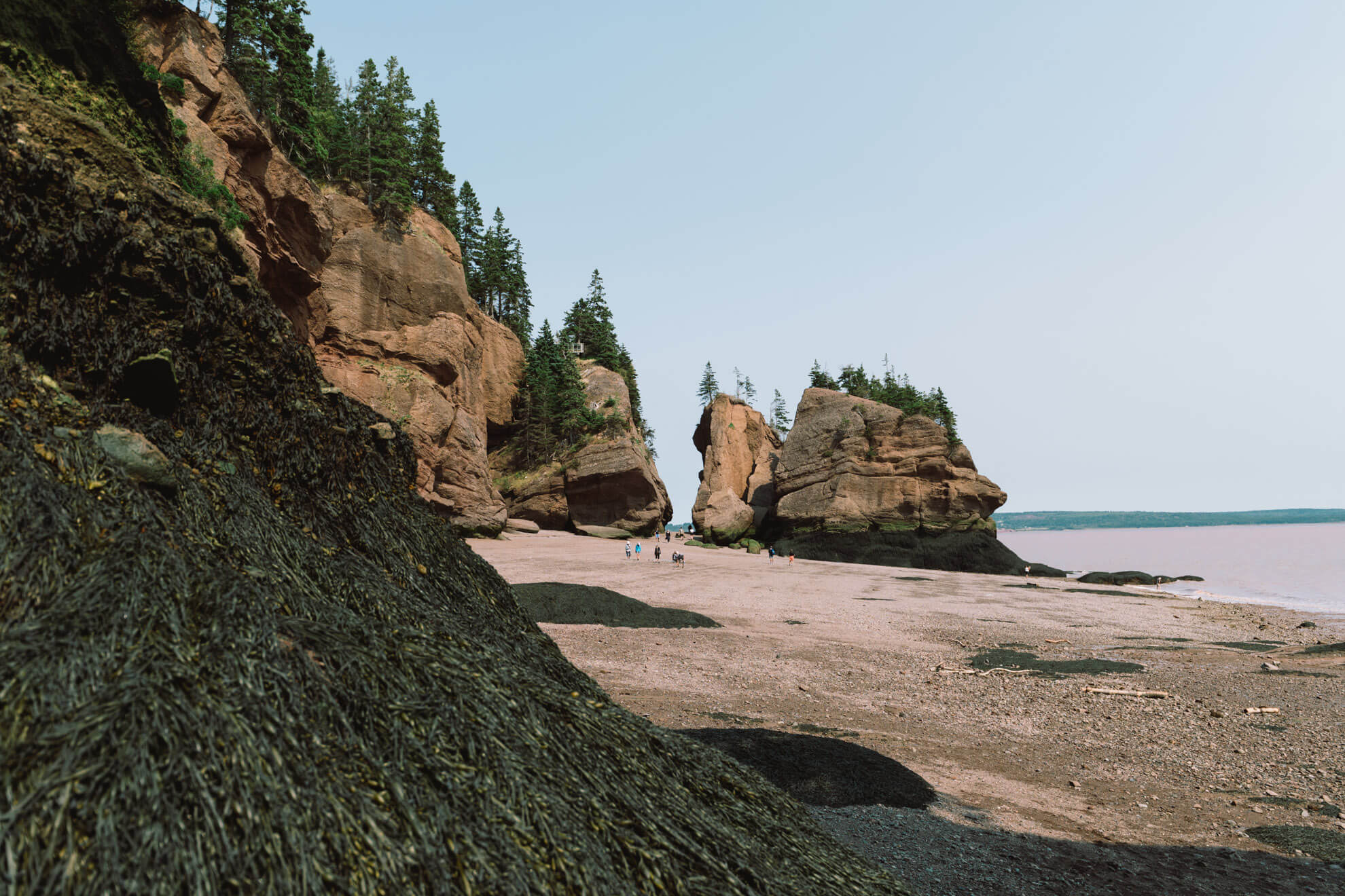 Hopewell Rocks dans la Baie de Fundy