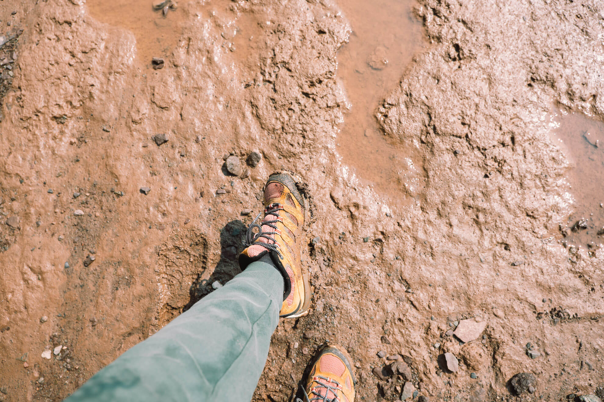 Terre rouge Baie de Fundy