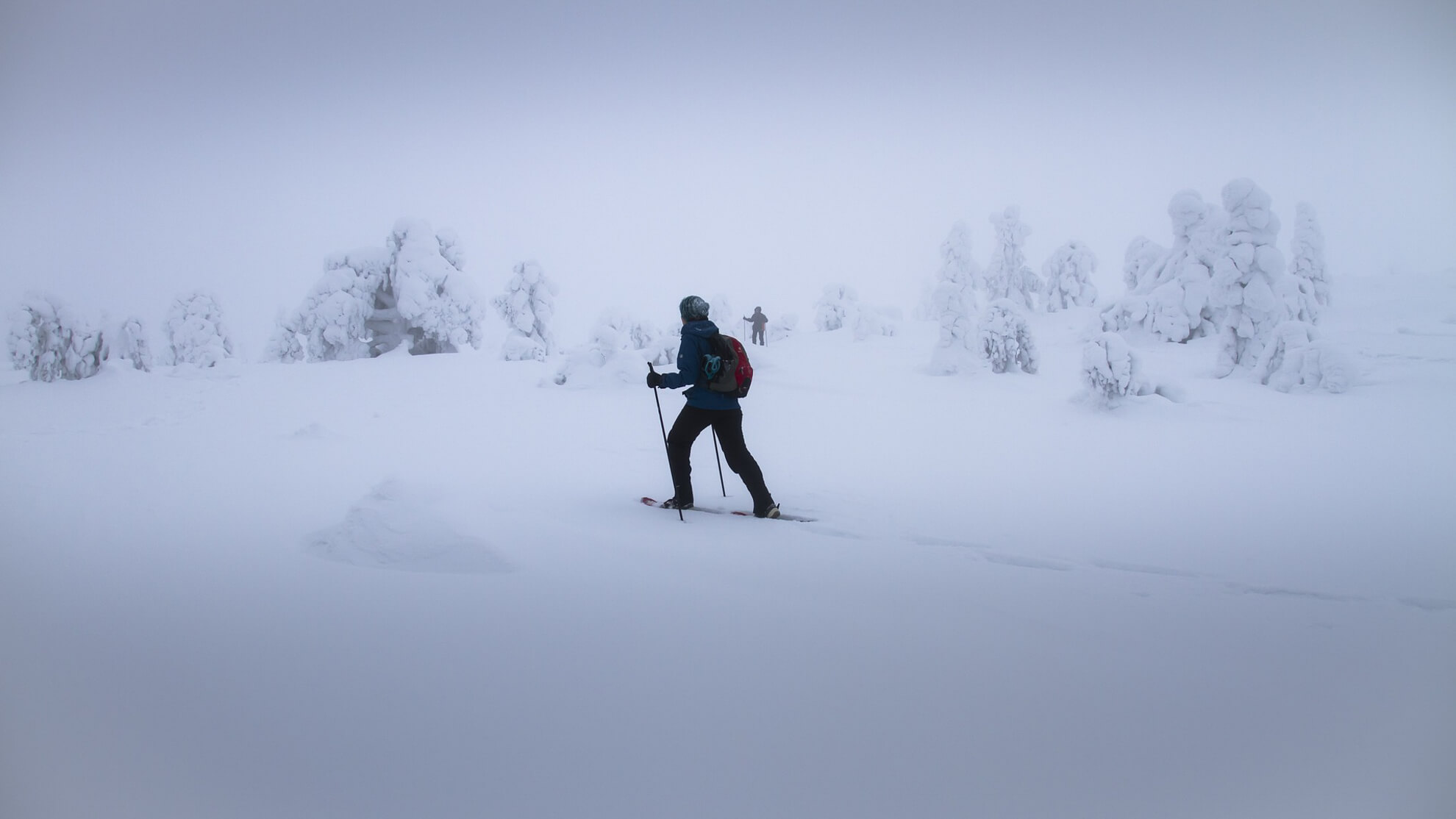 Randonnée hivernale en raquettes