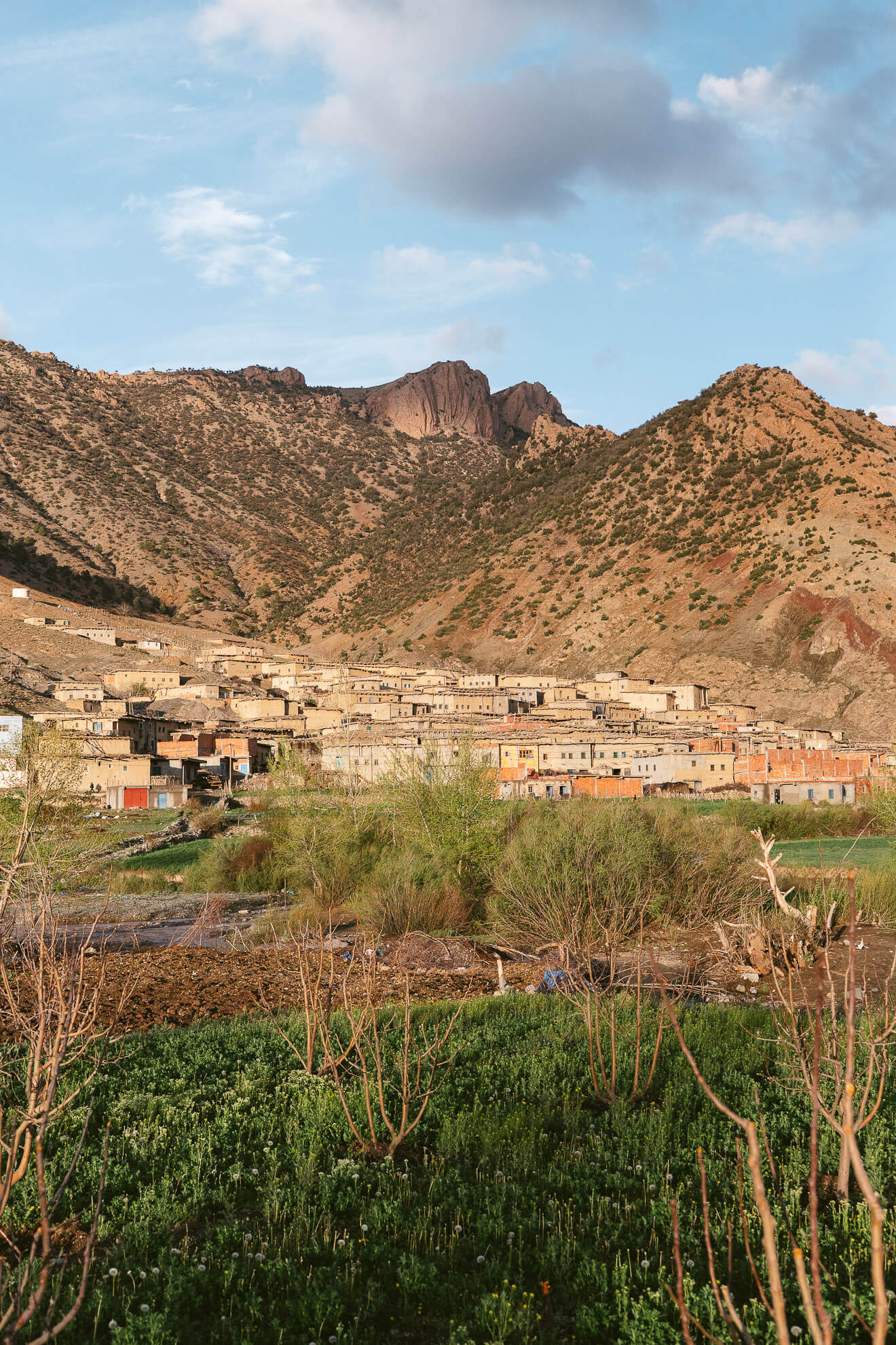 P1067591