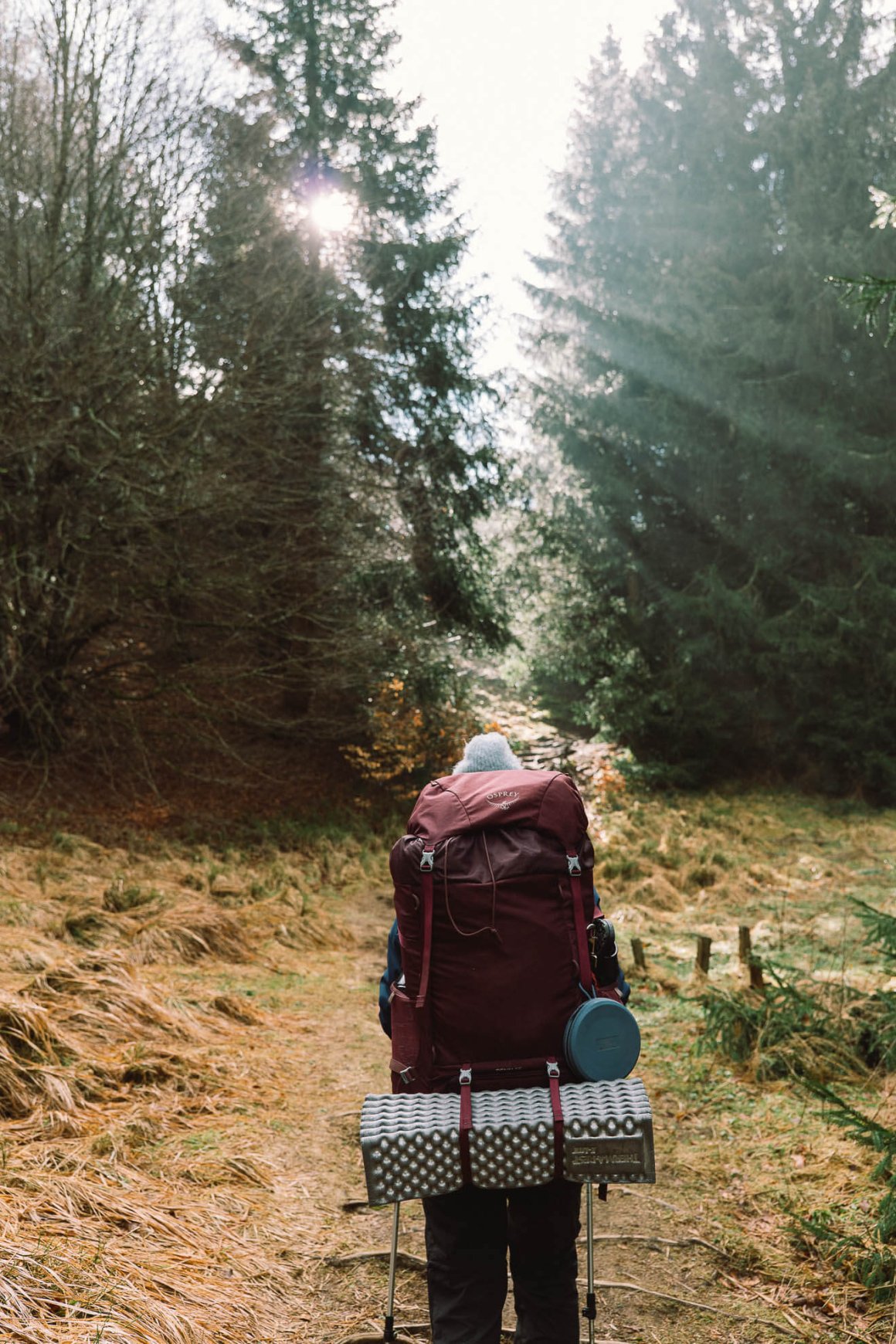 Marcheur sur un sentier de longue randonnée