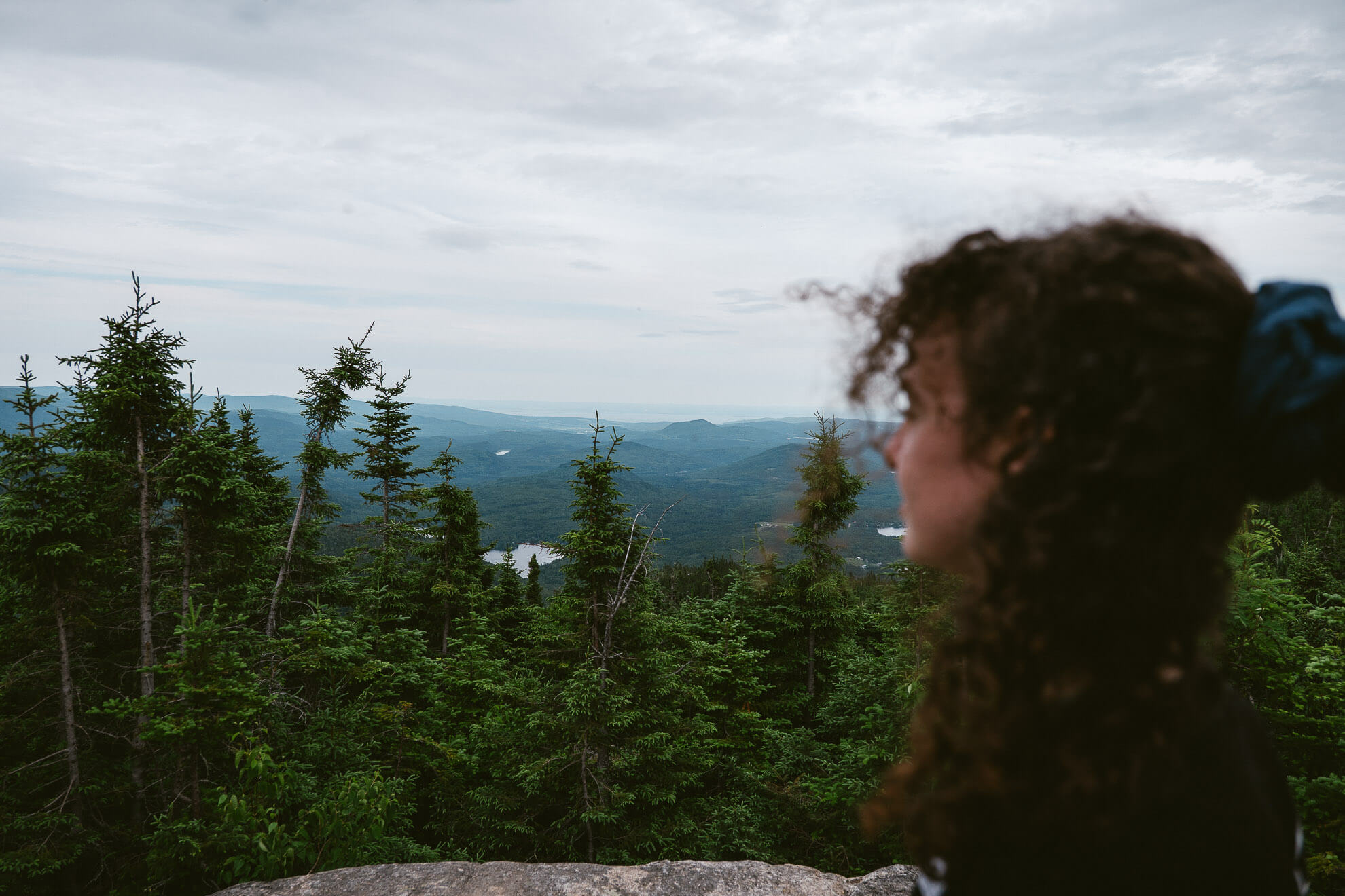 Personne devant la forêt boréale de Charlevoix