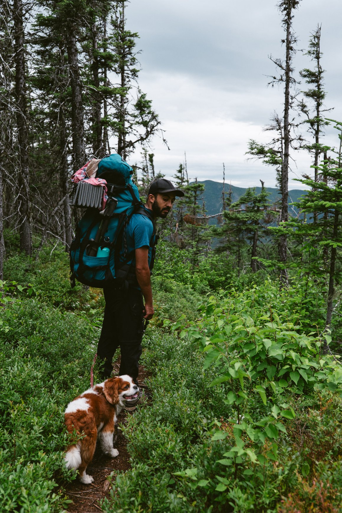 Randonneur avec son chien sur la traversée de charlevoix
