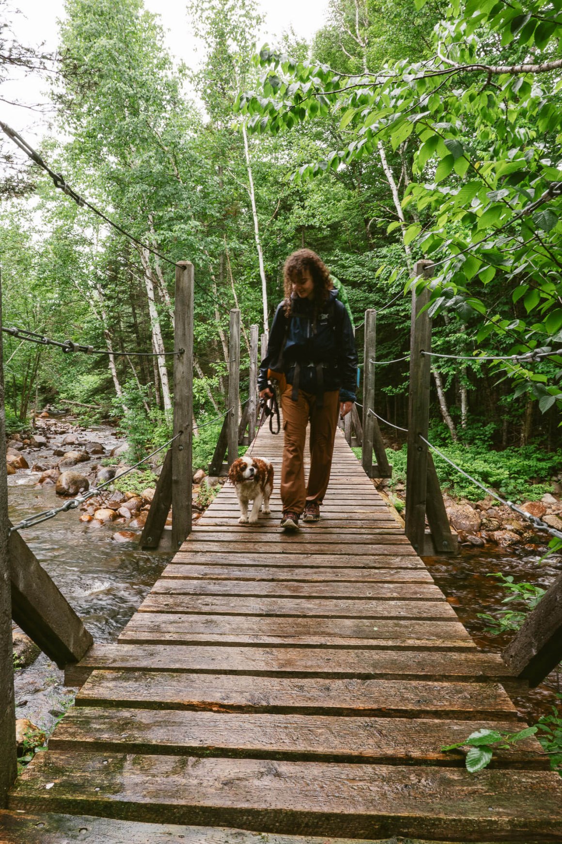 Randonneuse avec son chien sur la traversée de Charlevoix