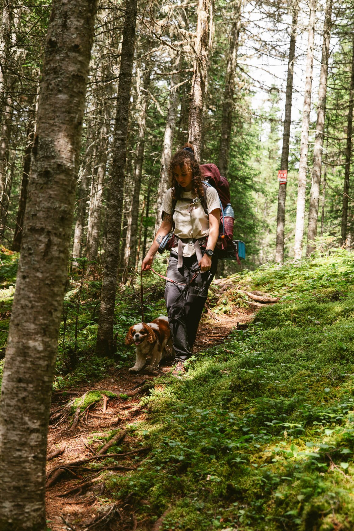 Randonneuse avec son chien sur la traversée de Charlevoix