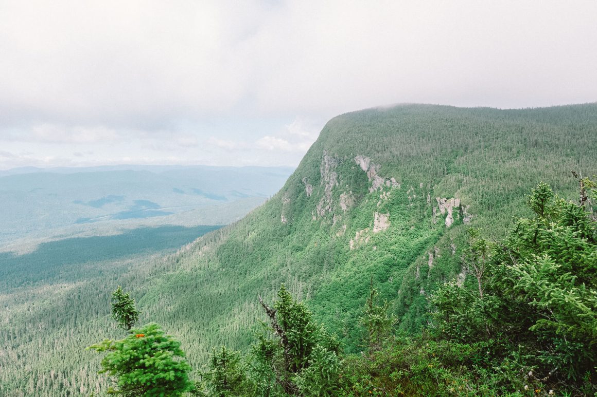 Montagne en Gaspésie