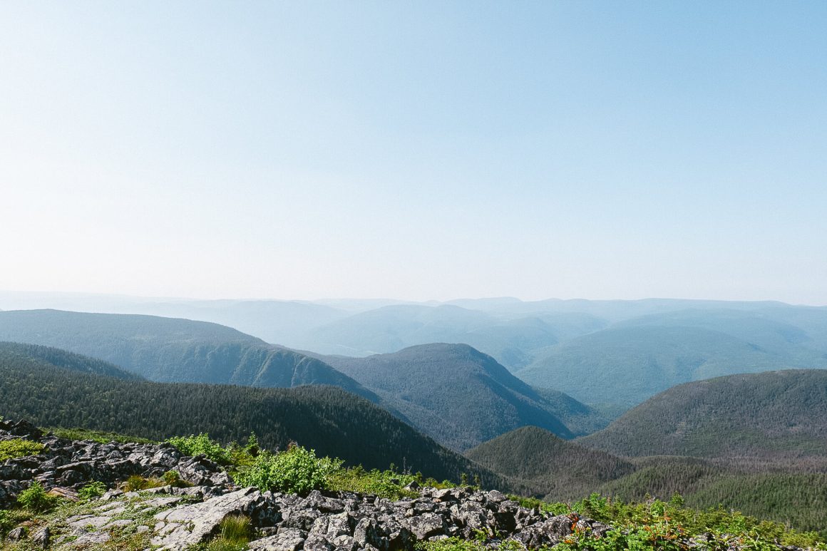 Vue depuis le sommet du Mont Albert