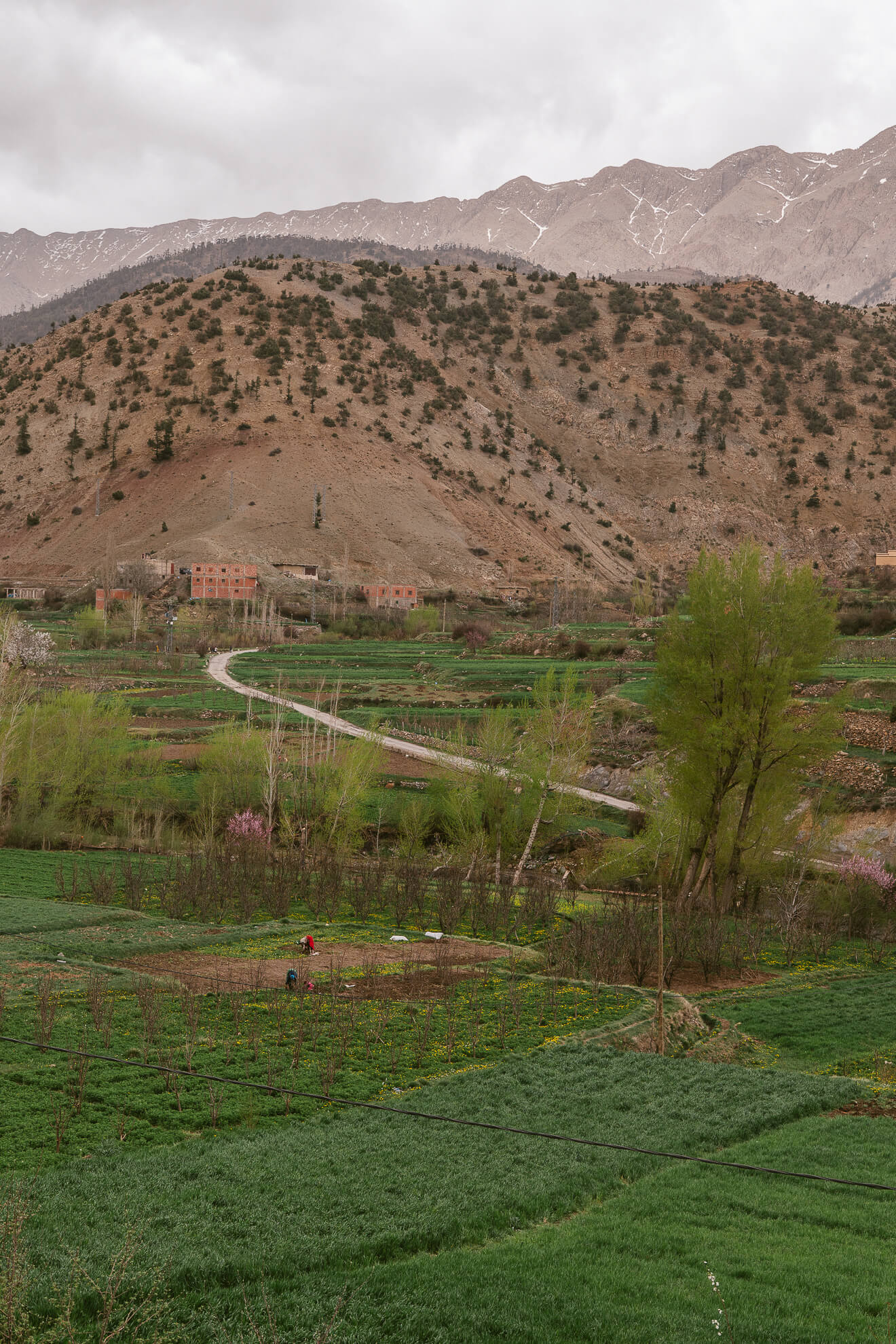 Anfgou Haut Atlas marocain