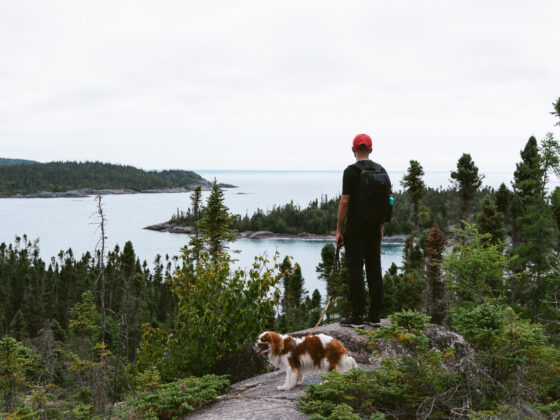 Randonnée en Ontario vue depuis le Mdaabi Miikna Trail