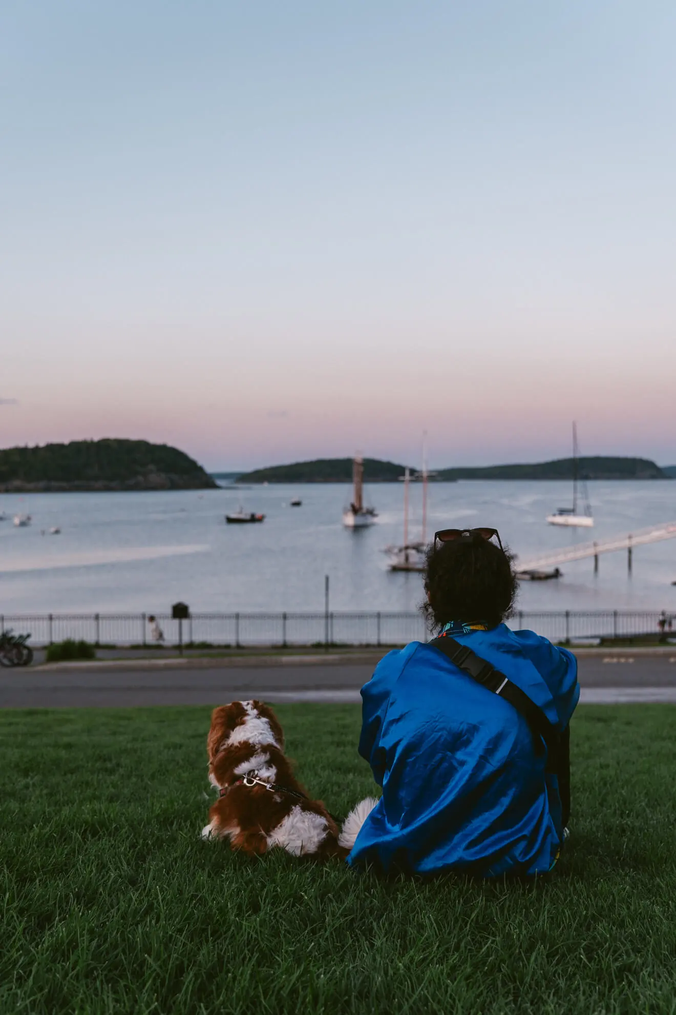 Une personne et un chien face au coucher de soleil sur l'ocean
