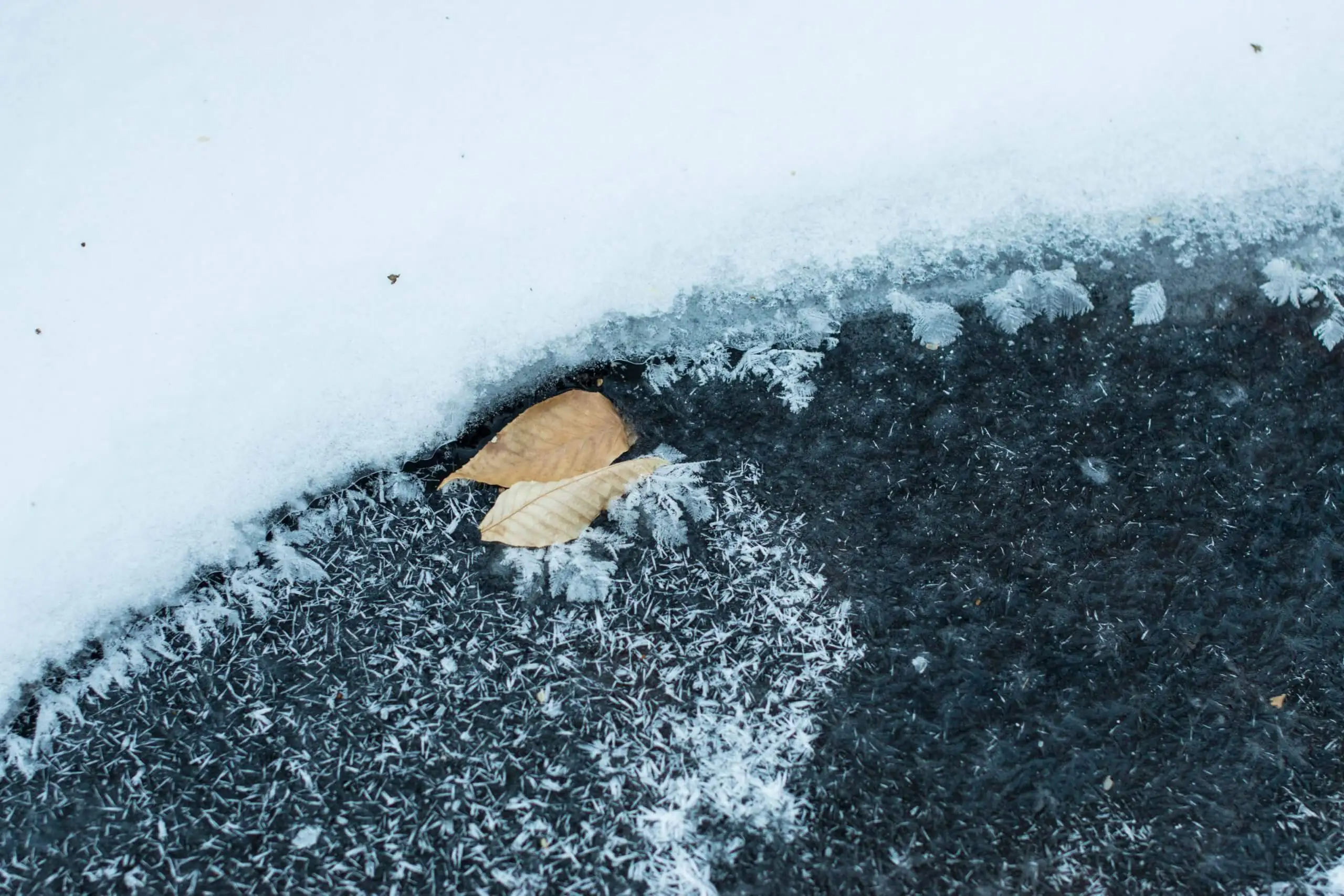 Givre avec feuille randonnée hivernale
