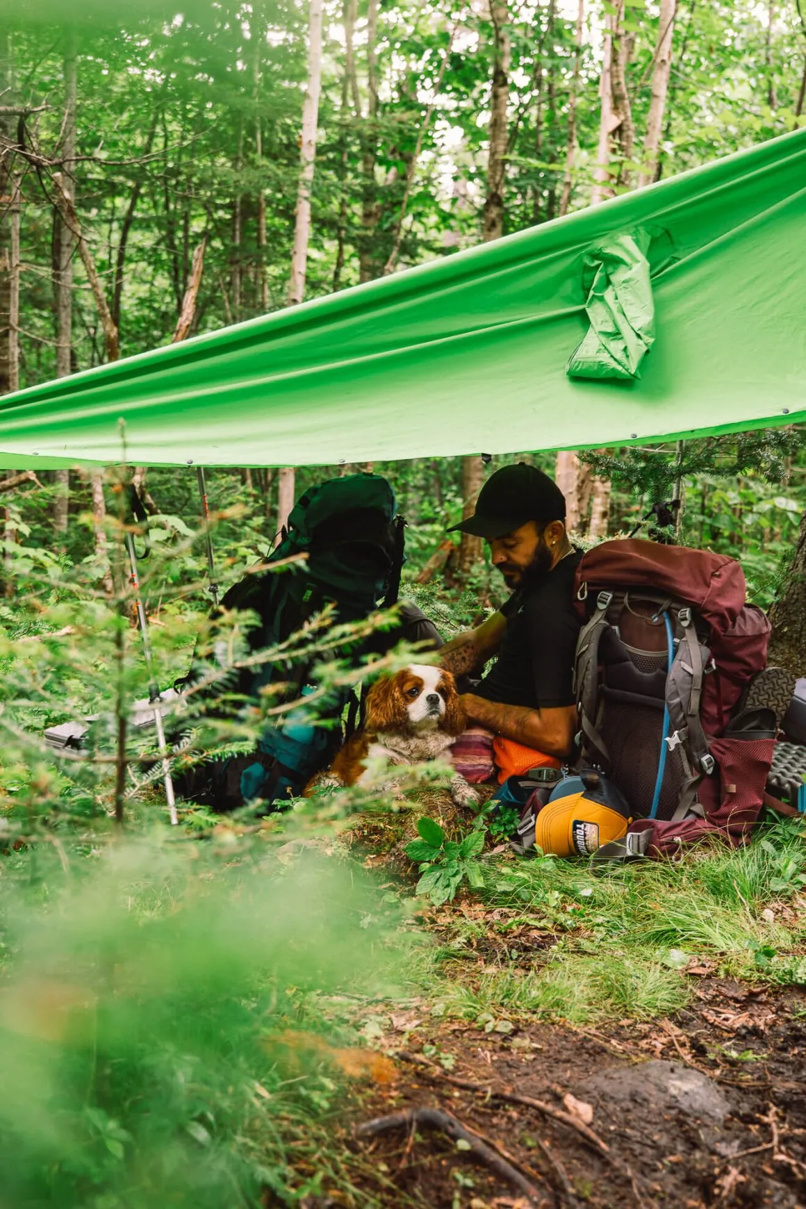 Randonneur avec son chien sous une tarp