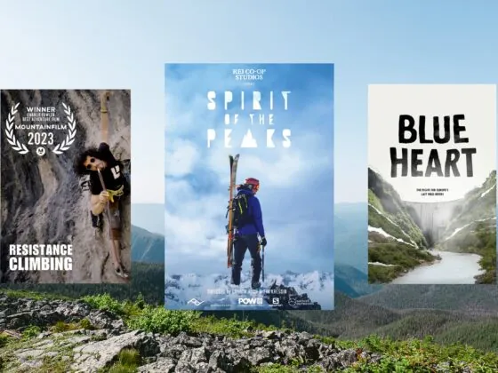 Couverture de 3 films de montagne