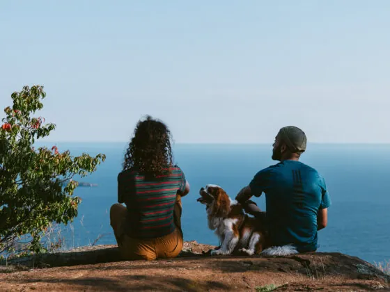 Vue depuis le Top of the Giant lors d'une randonnée en Ontario