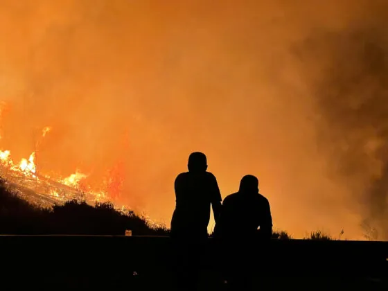 Feux de forêts et savoirs autochtones